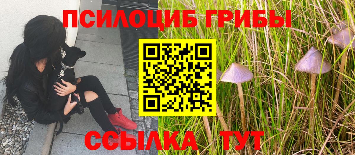 Галлюциногенные грибы MAGIC MUSHROOMS Дивногорск